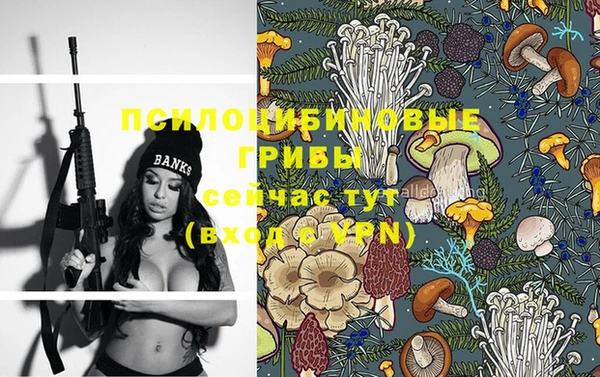 spice Михайлов