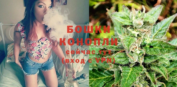 индика Артём