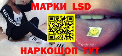 стафф Кандалакша