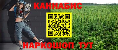 стафф Кандалакша