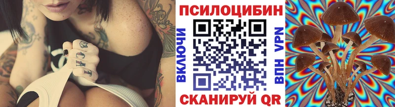 Псилоцибиновые грибы MAGIC MUSHROOMS Элиста