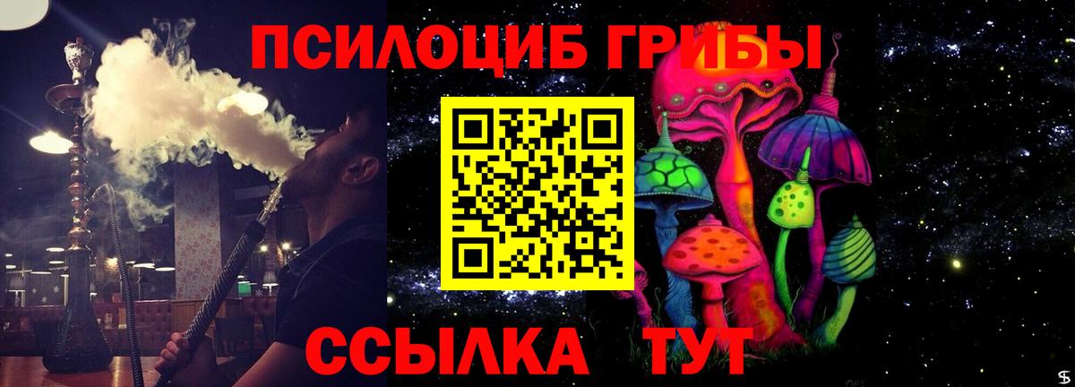 Галлюциногенные грибы Psilocybine cubensis  Вход с VPN  Элиста 