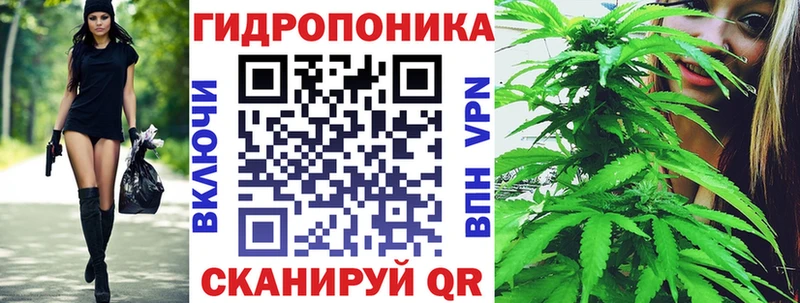 Конопля Ganja  Элиста 